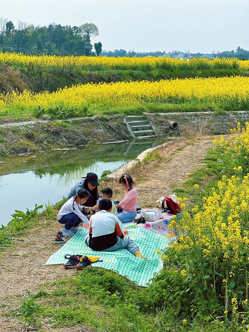 微信圖片蘋方簡細(xì)體